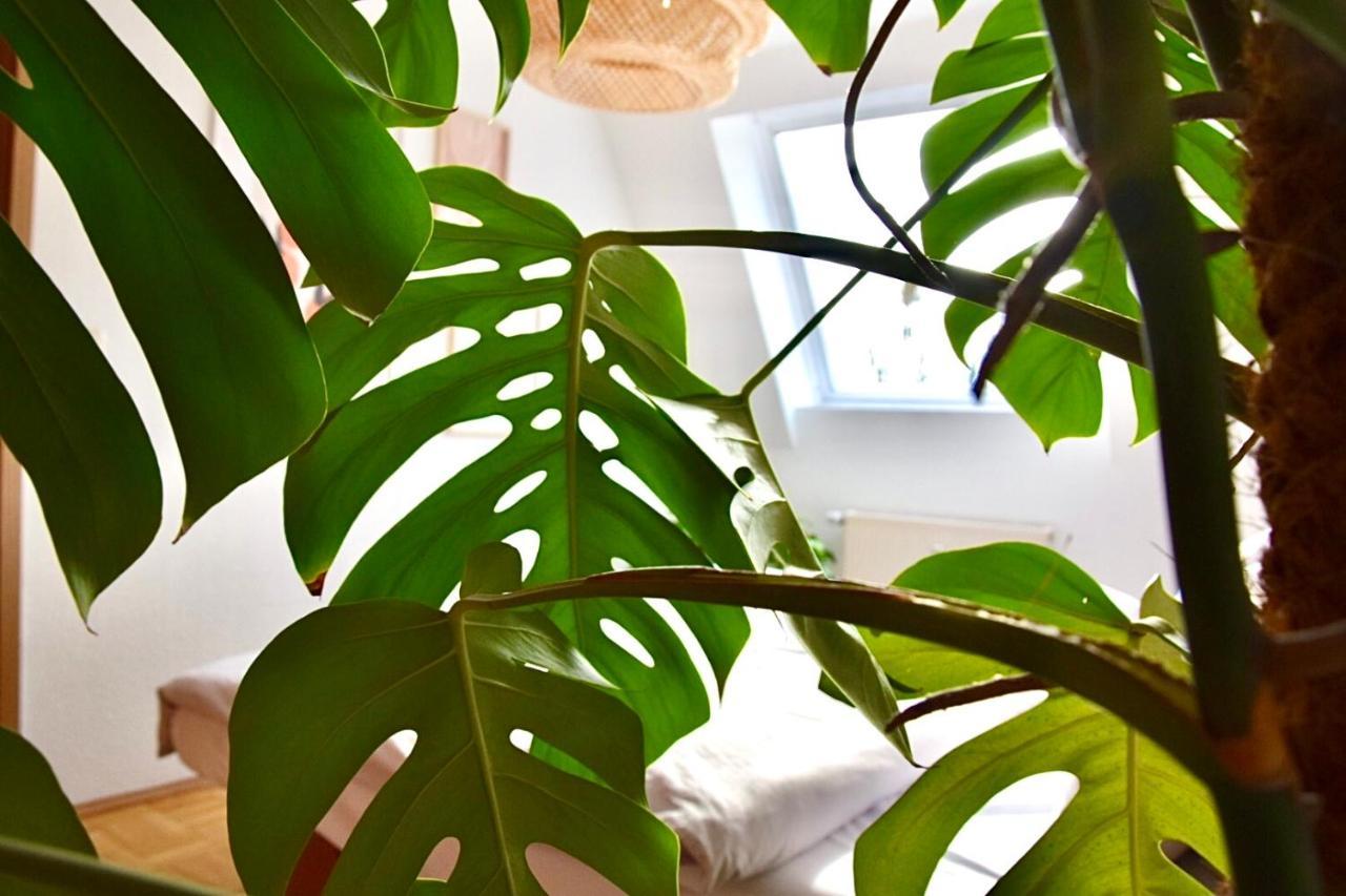 Greenbnbs: Cozy Urban Jungle In The City Centre Ессен Екстер'єр фото