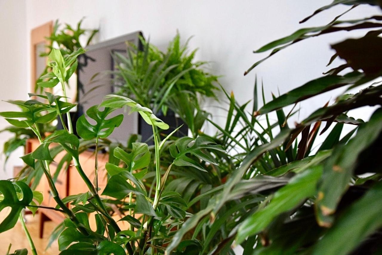Greenbnbs: Cozy Urban Jungle In The City Centre Ессен Екстер'єр фото