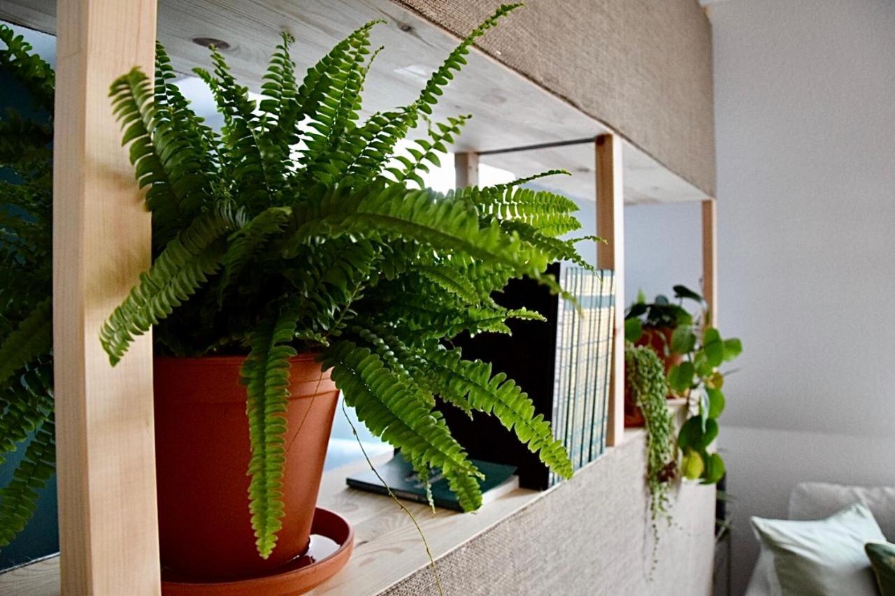 Greenbnbs: Cozy Urban Jungle In The City Centre Ессен Екстер'єр фото